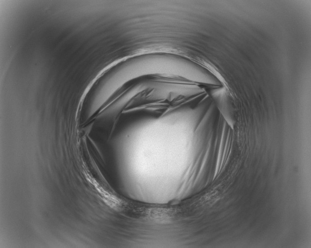 X0000082731116200702161900