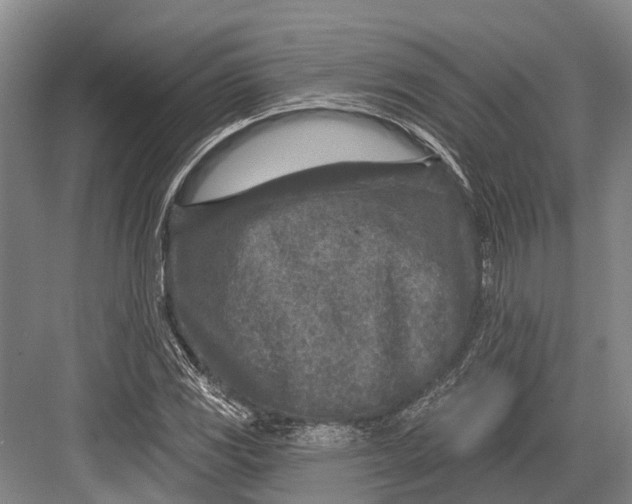 X0000082731117200702161900