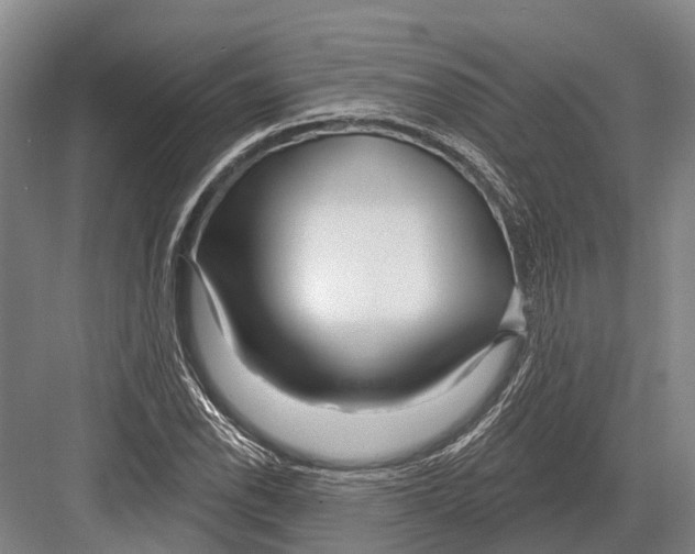 X0000082731118200702161900