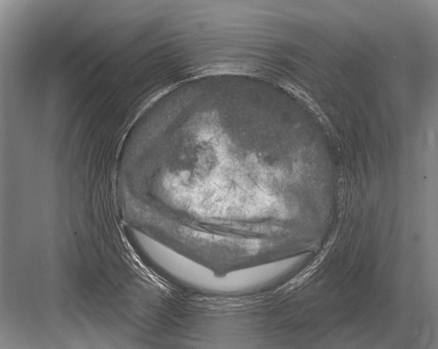 X0000082731121200702161900