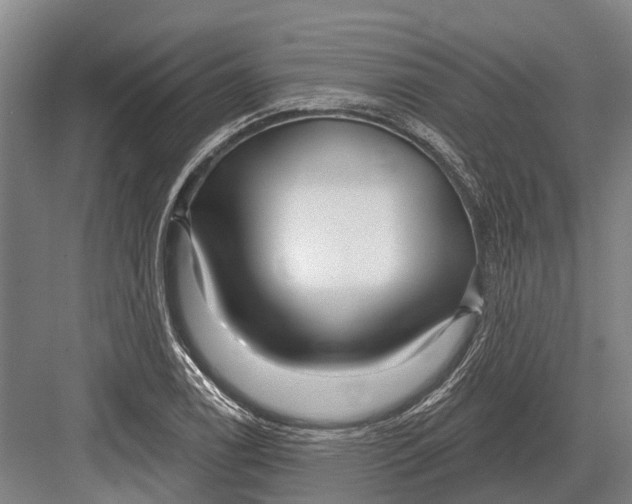 X0000082731122200702161900