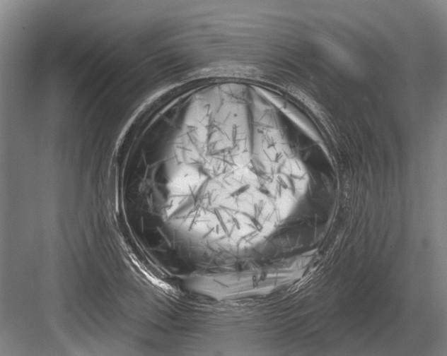 X0000082731123200702161900