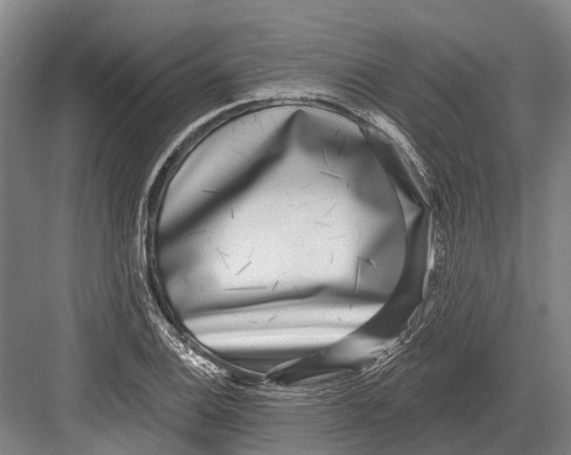 X0000082731124200702161900