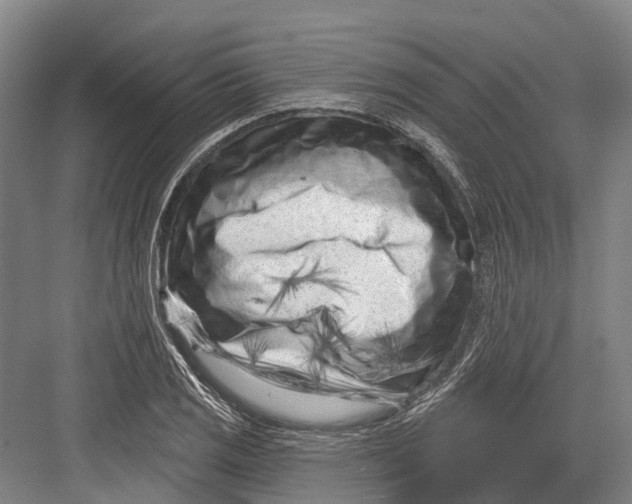 X0000082731125200702161900