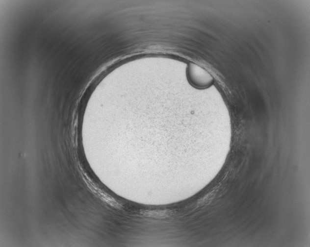 X0000082731126200702161900