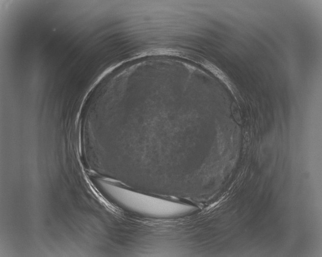 X0000082731127200702161900