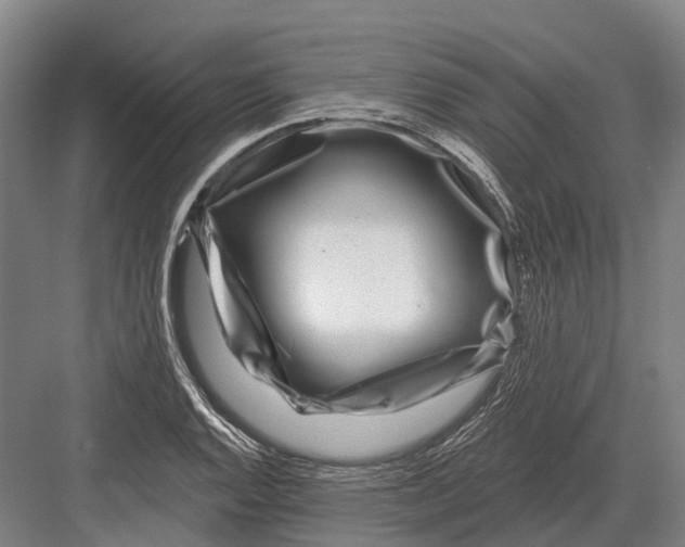 X0000082731128200702161900