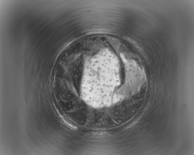 X0000082731129200702161900