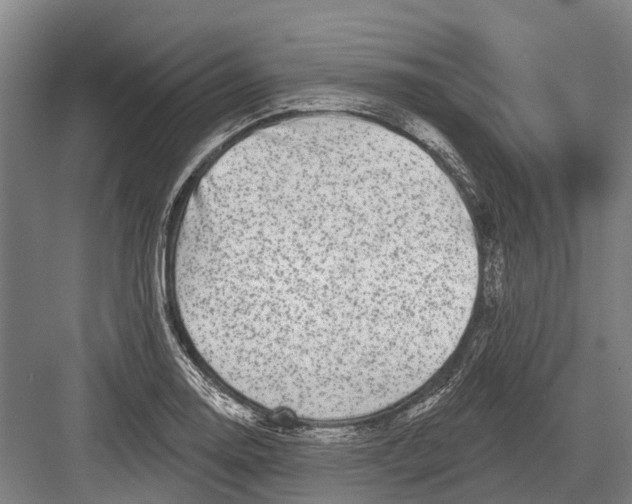 X0000082731130200702161900