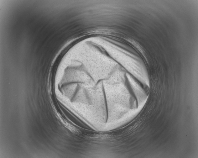 X0000082731131200702161900