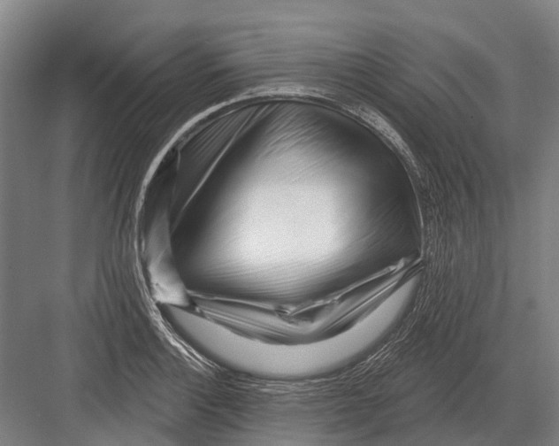 X0000082731132200702161900