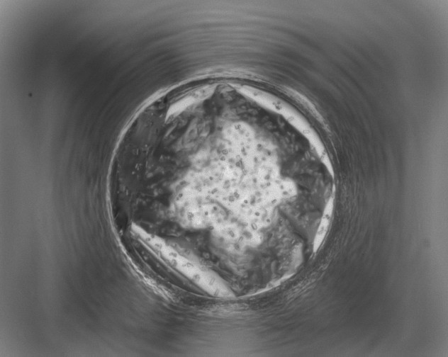 X0000082731133200702161900