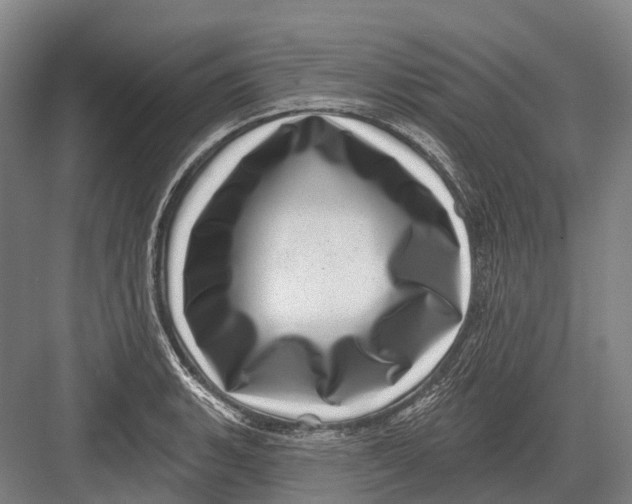 X0000082731135200702161900