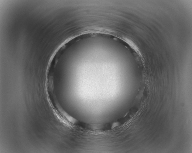 X0000082731136200702161900