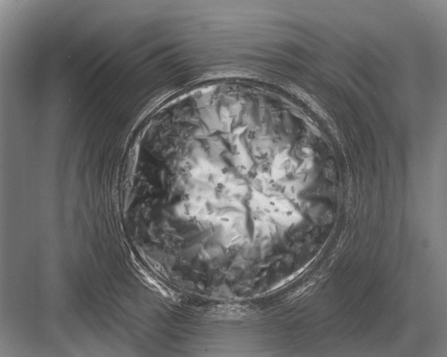 X0000082731137200702161900