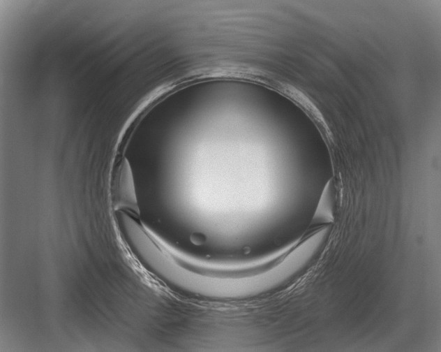 X0000082731138200702161900