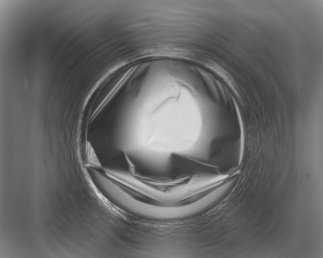 X0000082731139200702161900