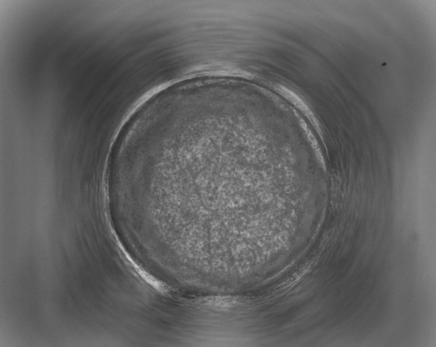 X0000082731141200702161900