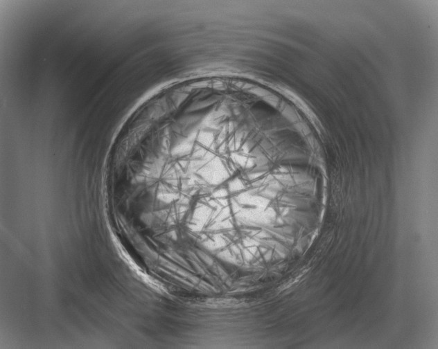 X0000082731142200702161900