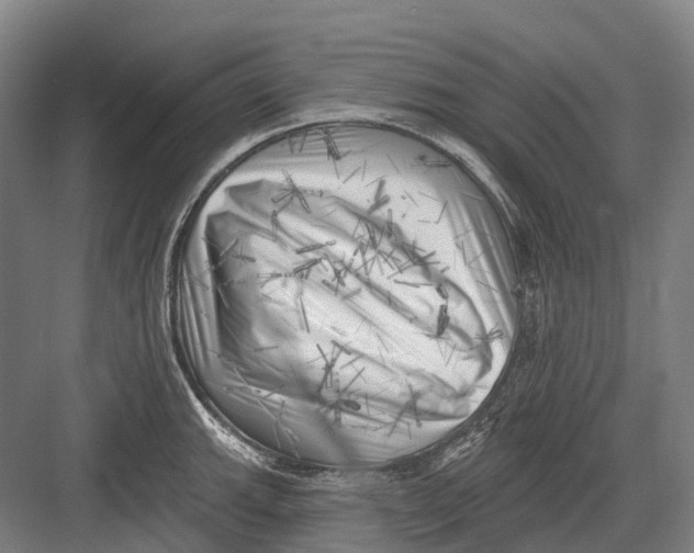 X0000082731143200702161900