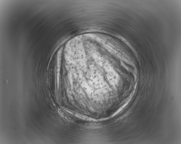 X0000082731145200702161900