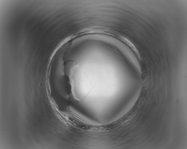 X0000082731146200702161900