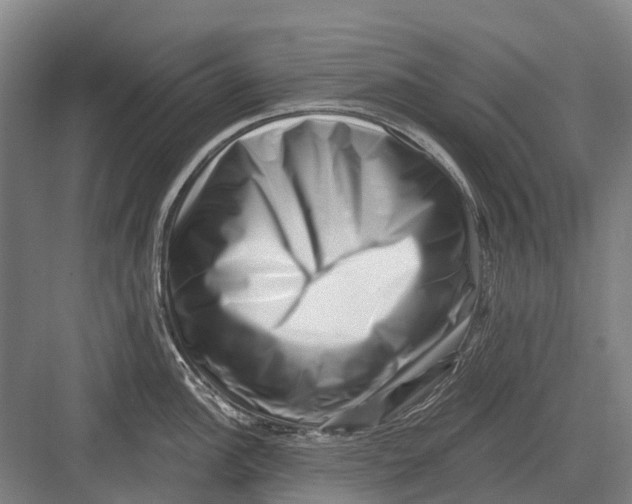 X0000082731148200702161900