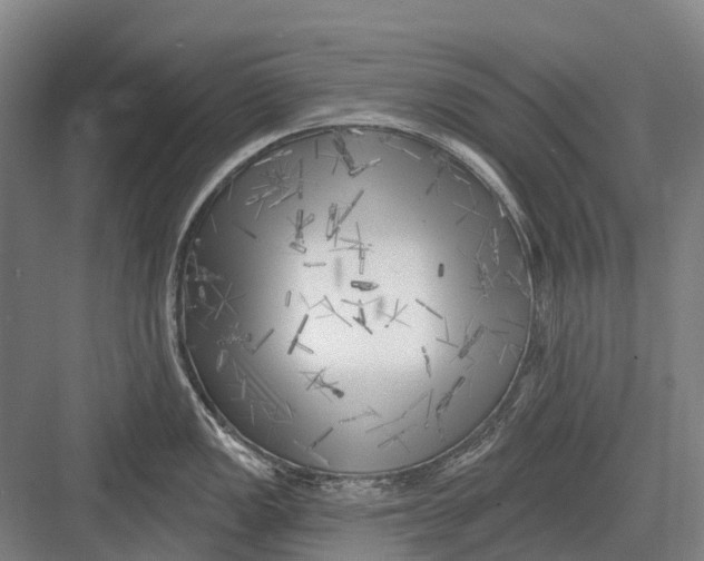 X0000082731149200702161900