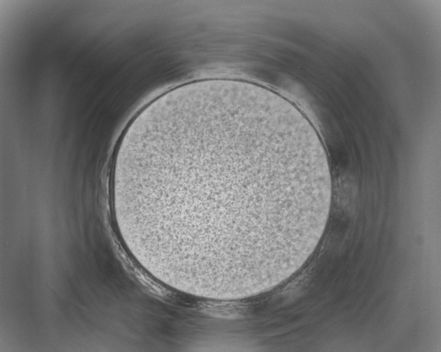 X0000082731150200702161900