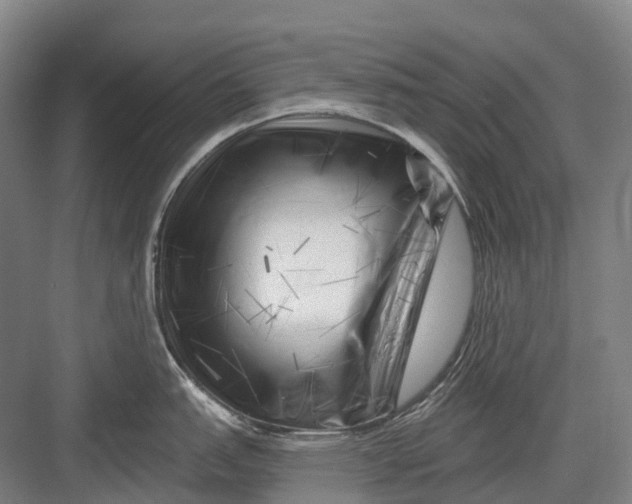 X0000082731151200702161900