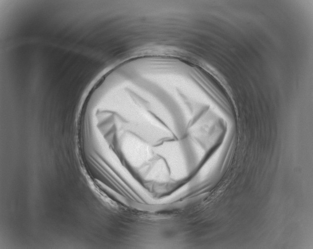 X0000082731152200702161900