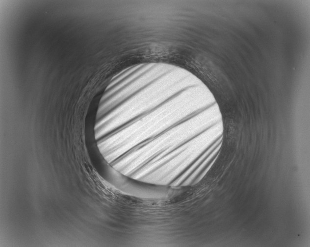 X0000082731153200702161900