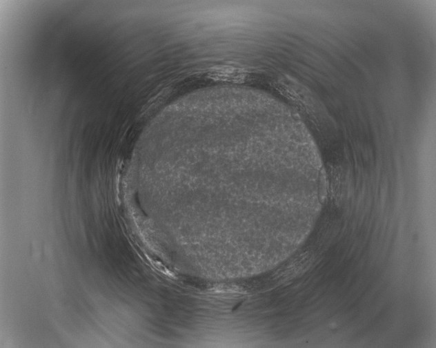 X0000082731154200702161900