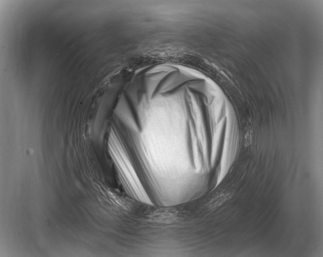 X0000082731156200702161900