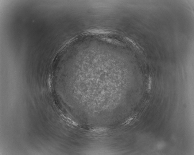 X0000082731157200702161900