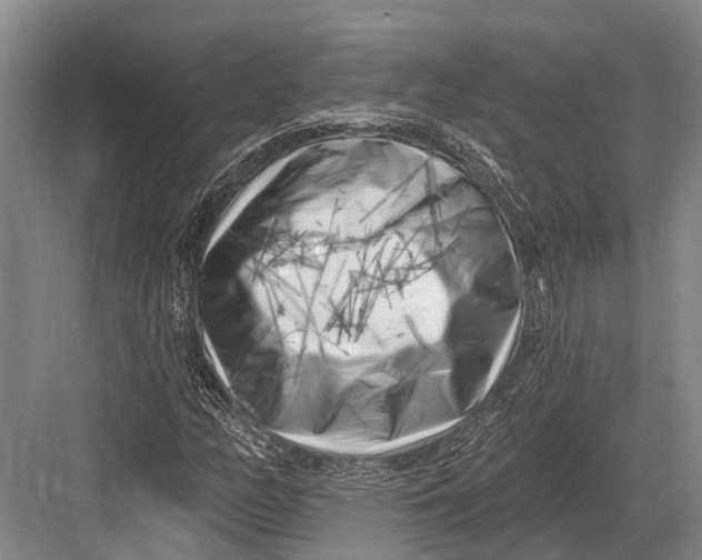 X0000082731158200702161900