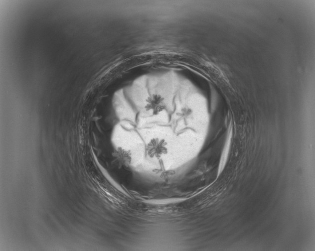 X0000082731159200702161900