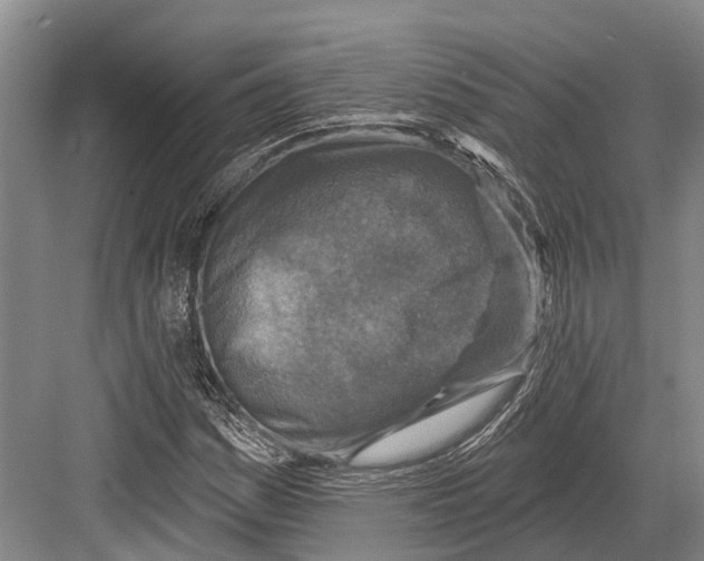 X0000082731161200702161900