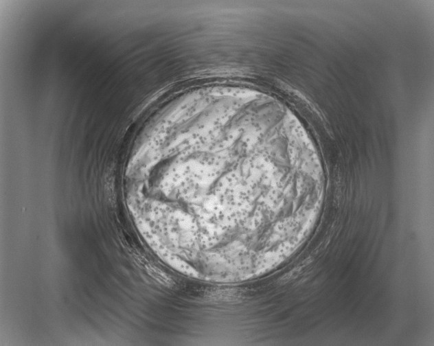 X0000082731162200702161900