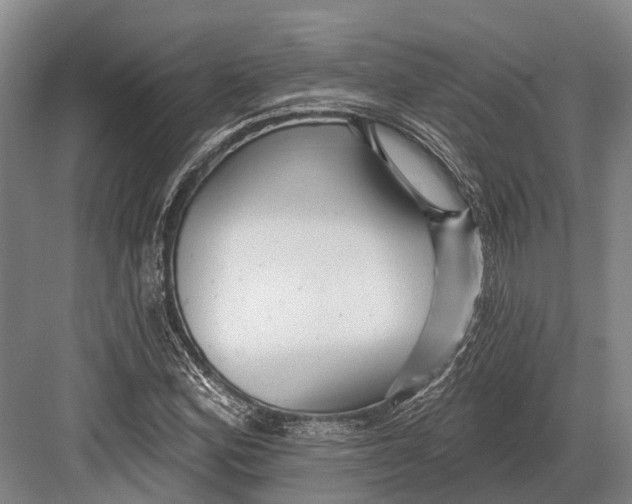 X0000082731164200702161859