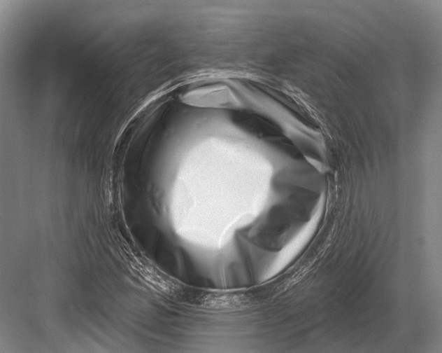 X0000082731165200702161859