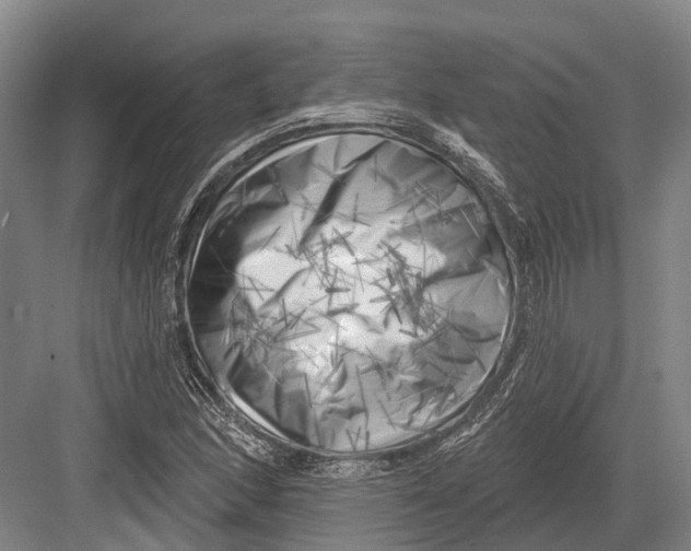 X0000082731166200702161859