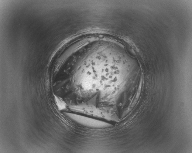 X0000082731167200702161859