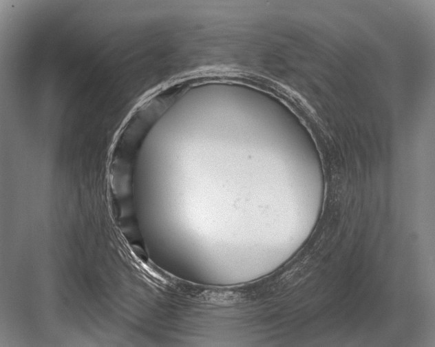 X0000082731168200702161859