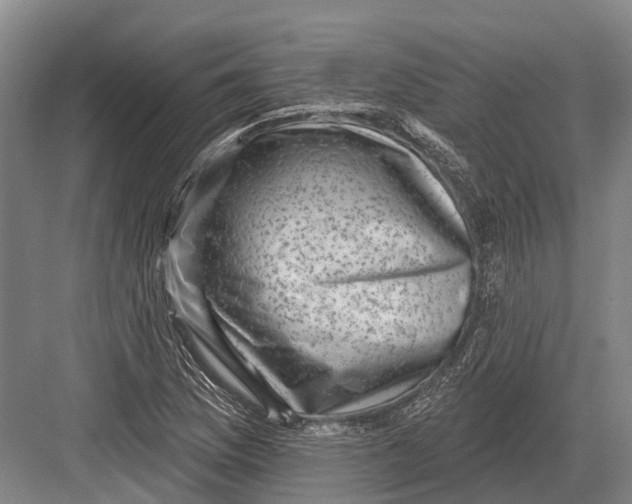 X0000082731169200702161859