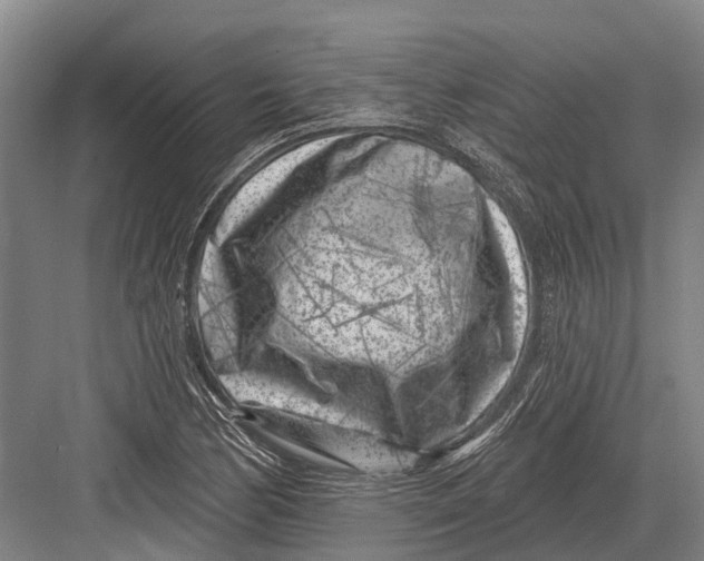 X0000082731170200702161859