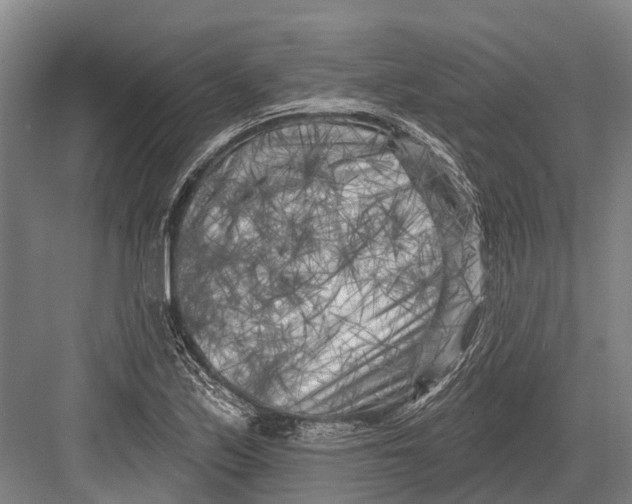 X0000082731171200702161859