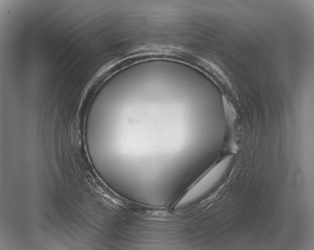 X0000082731172200702161859