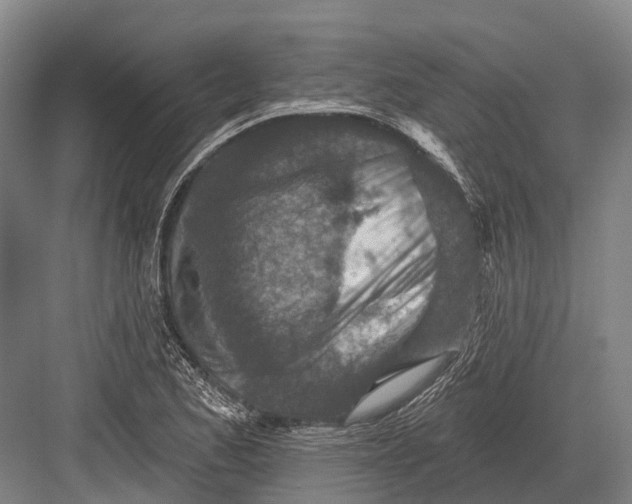 X0000082731173200702161859