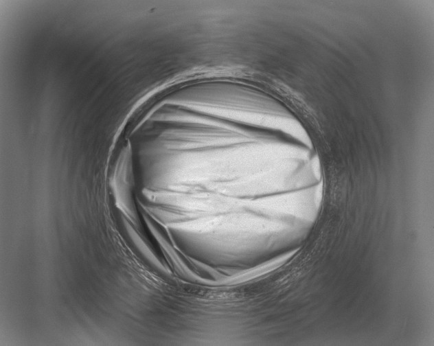 X0000082731174200702161859